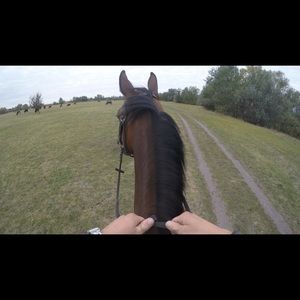 Meet your Posher, Jacob